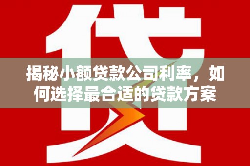 双江揭秘小额贷款公司利率，如何选择最合适的贷款方案