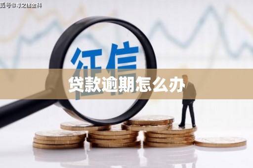 苏尼特右旗贷款逾期怎么办