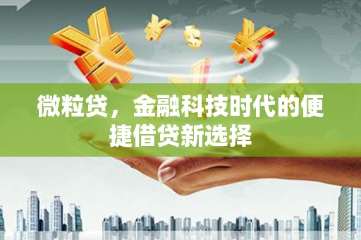 珲春微粒贷，金融科技时代的便捷借贷新选择