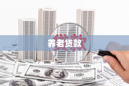 新埔养老贷款