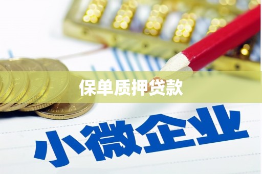 郑州保单质押贷款