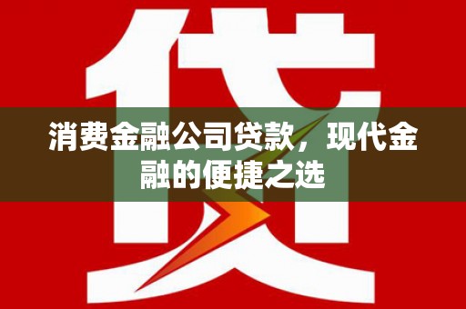 那玛夏消费金融公司贷款，现代金融的便捷之选