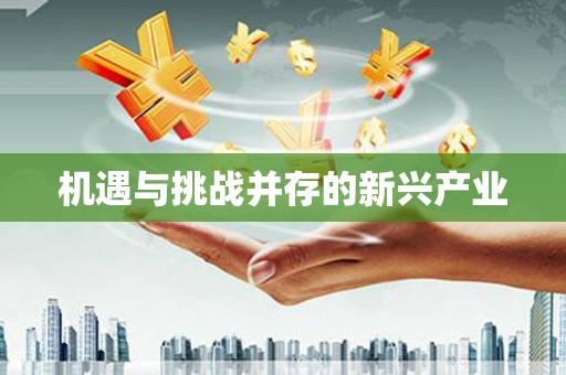 台前机遇与挑战并存的新兴产业