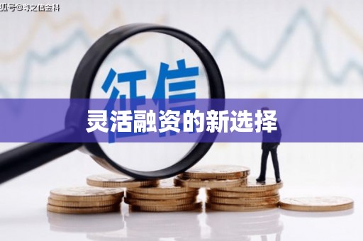 阿莲灵活融资的新选择