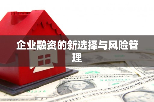 馆陶企业融资的新选择与风险管理