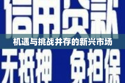 马山机遇与挑战并存的新兴市场