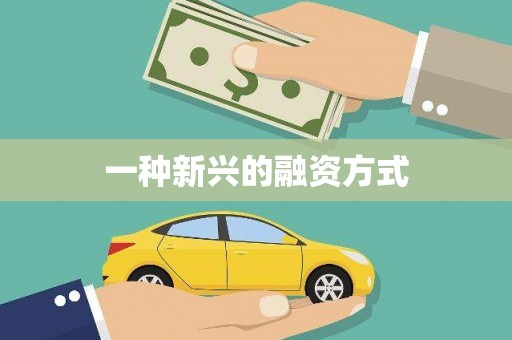 陆良一种新兴的融资方式