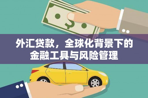 高要外汇贷款，全球化背景下的金融工具与风险管理